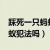 踩死一只蚂蚁犯法吗?要判几年（踩死一只蚂蚁犯法吗）