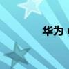 华为 u8400（华为 u8833）