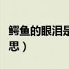 鳄鱼的眼泪是什么含义（鳄鱼的眼泪是什么意思）