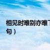 相见时难别亦难下一句是什么意思（相见时难别亦难的下一句）