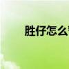 胜仔怎么暂退了（胜仔为什么退网）