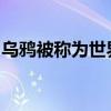 乌鸦被称为世界上最聪明的鸟之一原因是什么
