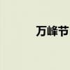 万峰节目录音全集（万峰节目）