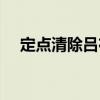 定点清除吕布传人物（定点清除吕布传）
