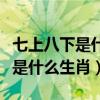 七上八下是什么生肖几号特马谜底（七上八下是什么生肖）