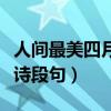 人间最美四月天全诗内容（最美人间四月天全诗段句）