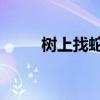 树上找蛇的图片（树下野狐 画蛇）