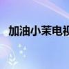 加油小茉电视剧全集在线观看（加油小茉）
