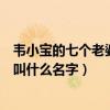 韦小宝的七个老婆叫什么名字几个孩子（韦小宝的七个老婆叫什么名字）