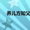养儿方知父母恩下一句 再懂已是暮年人