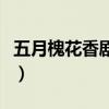 五月槐花香剧情简介演员表（五月槐花香剧情）