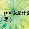 pua女是什么意思网络用语（pua女是什么意思）