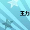 王力安全门（王力安全门）
