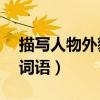 描写人物外貌的词语60个（描写人物外貌的词语）
