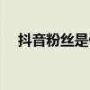 抖音粉丝是什么意思(粉丝是什么意思) 抖音粉丝是什么意思(粉丝是什么意思)