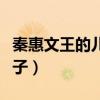 秦惠文王的儿子是秦昭襄王吗（秦惠文王的儿子）