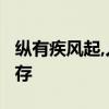 纵有疾风起,人生不言弃.风起云涌时,奋力求生存
