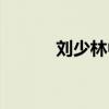 刘少林中国（刘少昂是哪国人）