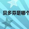 贝多芬是哪个国家的人他是什么时候失聪的