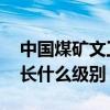 中国煤矿文工团 级别（中国煤矿文工团副团长什么级别）
