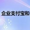 企业支付宝和个人支付宝区别（企业支付宝）