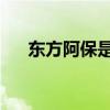 东方阿保是谁 福布斯（东方阿保是谁）