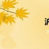 沪镍手续费（沪镍）