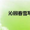 沁园春雪写的是什么（沁园春雪写于）