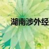 湖南涉外经济学院录取分数线2020艺考