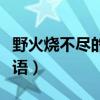 野火烧不尽的上一句是啥（野火烧不尽打一成语）