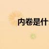 内卷是什么梗网络（内卷是什么梗）