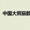 中国大熊猫数量是多少?（中国大熊猫数量）