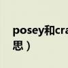 posey和crack是什么意思（crack是什么意思）