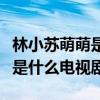 林小苏萌萌是什么电视剧的人物（林小苏萌萌是什么电视剧）
