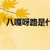 八嘎呀路是什么意思（八格牙路什么意思）