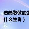 恭恭敬敬的生肖是什么（恭恭敬敬成一对是指什么生肖）