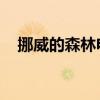 挪威的森林电影解说（挪威的森林 电影）