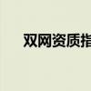 双网资质指的是什么（shuangwang）