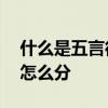 什么是五言律诗五言绝句七言律诗七言绝句,怎么分