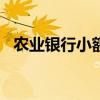 农业银行小额贷款需要什么条件?怎么申请