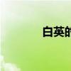 白英的埋骨之地（埋骨之地）