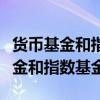 货币基金和指数基金哪种基金风险高（货币基金和指数基金）