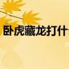 卧虎藏龙打什么生肖（卧虎藏龙打一个生肖）