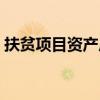 扶贫项目资产后续管理工作总结（扶贫项目）