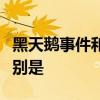 黑天鹅事件和灰犀牛事件这两类事件的主要区别是