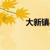 大新镇小学（新大小学在哪里）