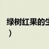 绿树红果的生肖（绿树红果丰收期是什么生肖）