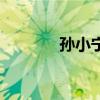 孙小宁人世间结局（孙小宁）