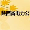 陕西省电力公司客服电话（陕西省电力公司）