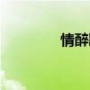 情醉歌词背景（情醉歌词）